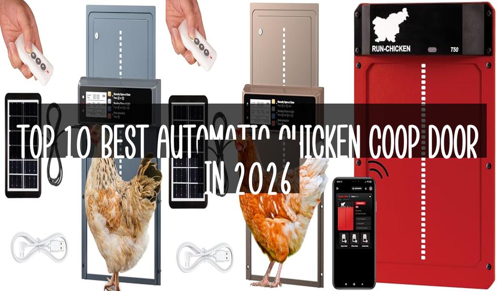 Top 10 Best Automatic Chicken Coop Door in 2026