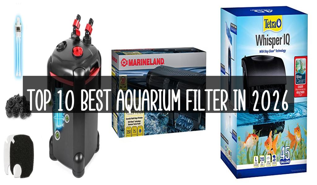 Top 10 Best Aquarium Filter in 2026