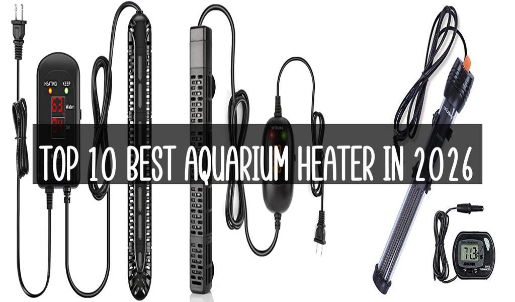 Top 10 Best Aquarium Heater in 2026